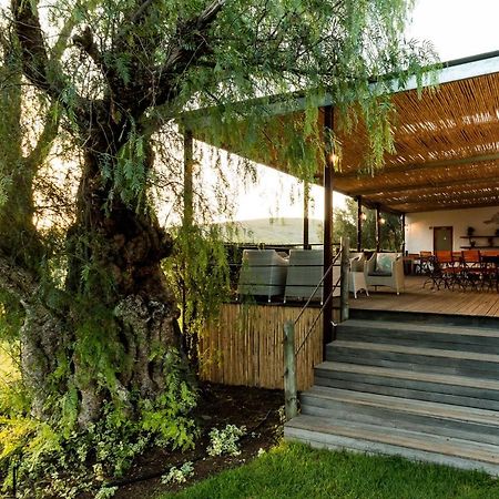 Swartberg Country Manor Casa de hóspedes Matjiesrivier  Exterior foto