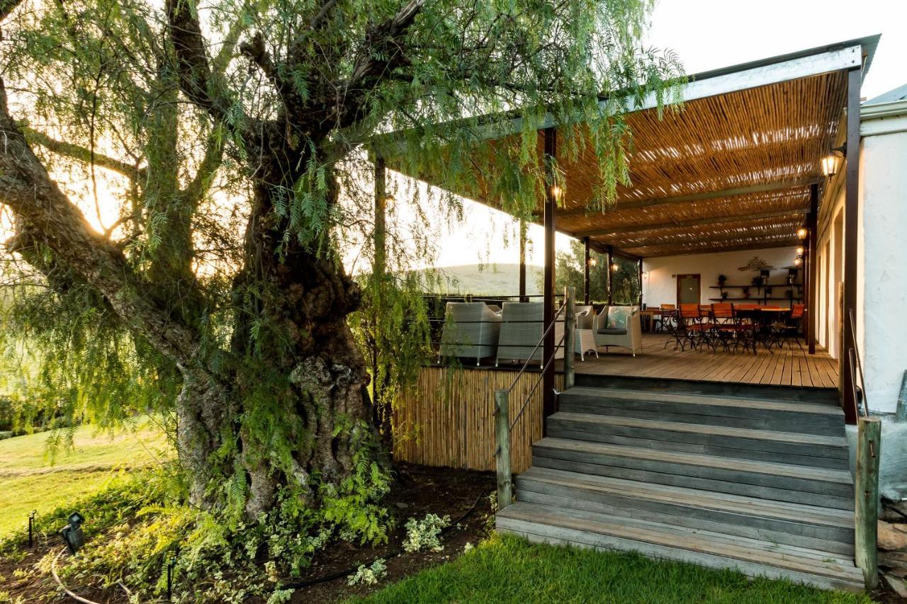 Swartberg Country Manor Casa de hóspedes Matjiesrivier  Exterior foto