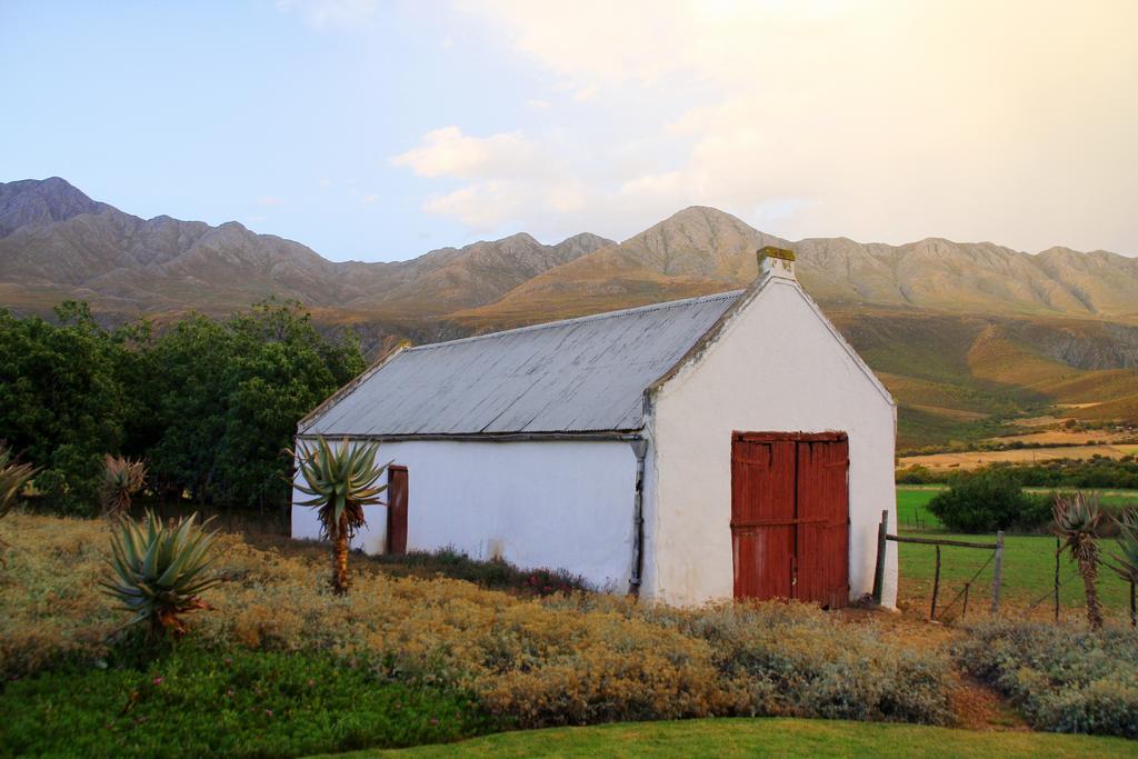 Swartberg Country Manor Casa de hóspedes Matjiesrivier  Exterior foto