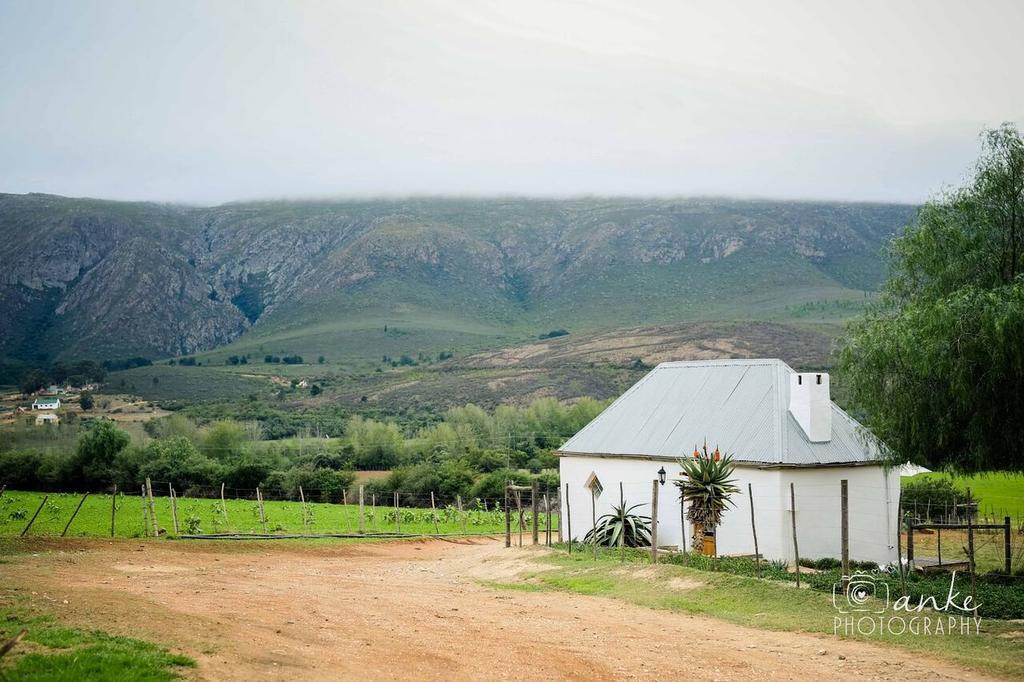 Swartberg Country Manor Casa de hóspedes Matjiesrivier  Exterior foto