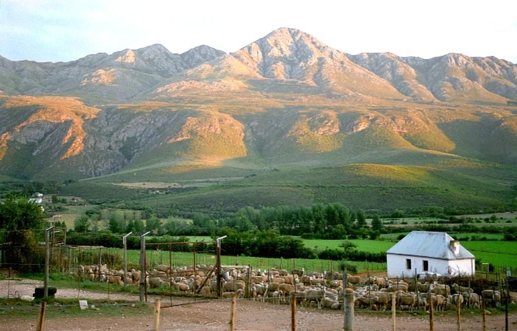 Swartberg Country Manor Casa de hóspedes Matjiesrivier  Exterior foto