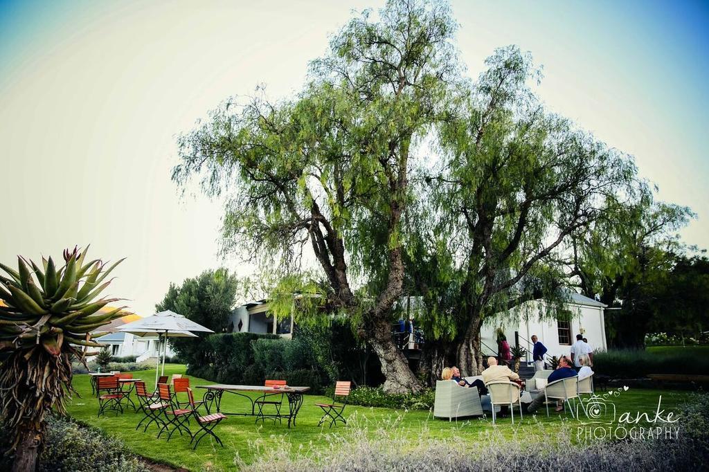 Swartberg Country Manor Casa de hóspedes Matjiesrivier  Exterior foto